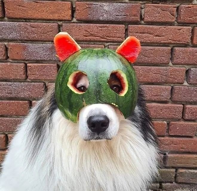 Archived ABI Resources Facebook image associated with Just to make you smile ð