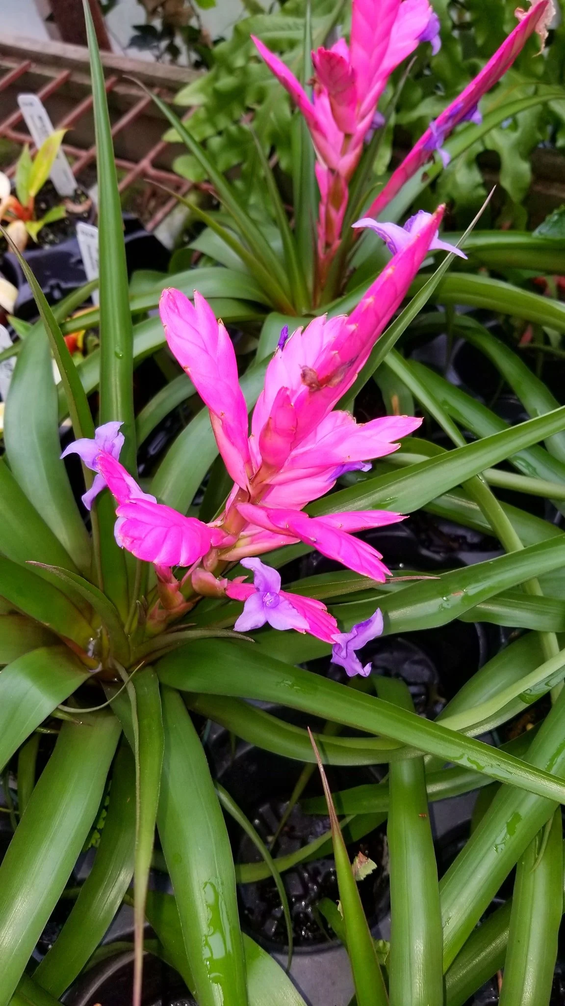 Archived ABI Resources Facebook image associated with Mobile uploads — 2019-10-06 28b65152