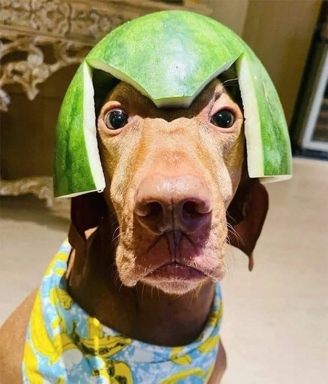 Archived ABI Resources Facebook image associated with Just to make you smile ð