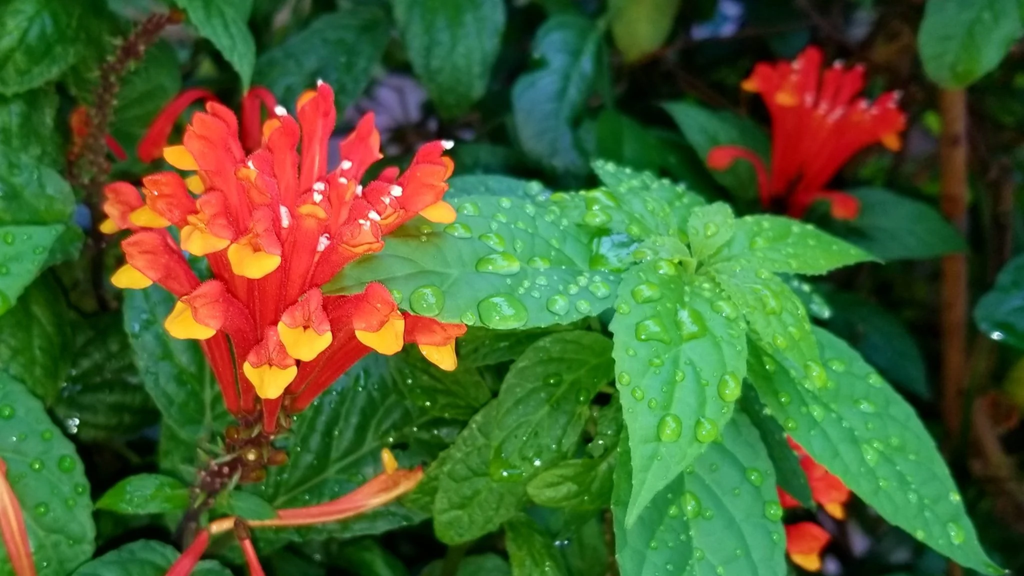 Archived ABI Resources Facebook image associated with Mobile uploads — 2019-10-06 68fcc25f