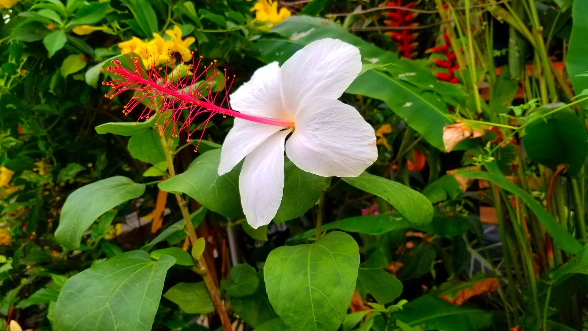 Archived ABI Resources Facebook image associated with Mobile uploads — 2019-10-06 f55b0eae