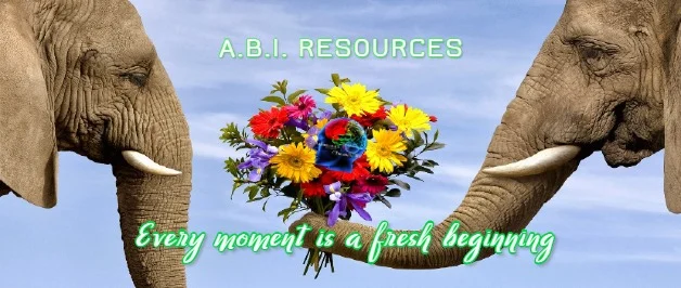 Archived ABI Resources Facebook image associated with Cover photos — 2020-02-18 1ab83cd7