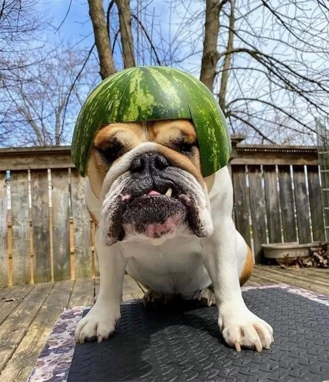 Archived ABI Resources Facebook image associated with Just to make you smile ð