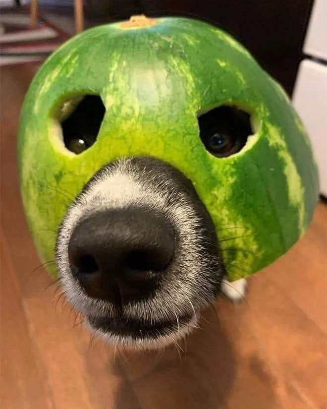 Archived ABI Resources Facebook image associated with Just to make you smile ð