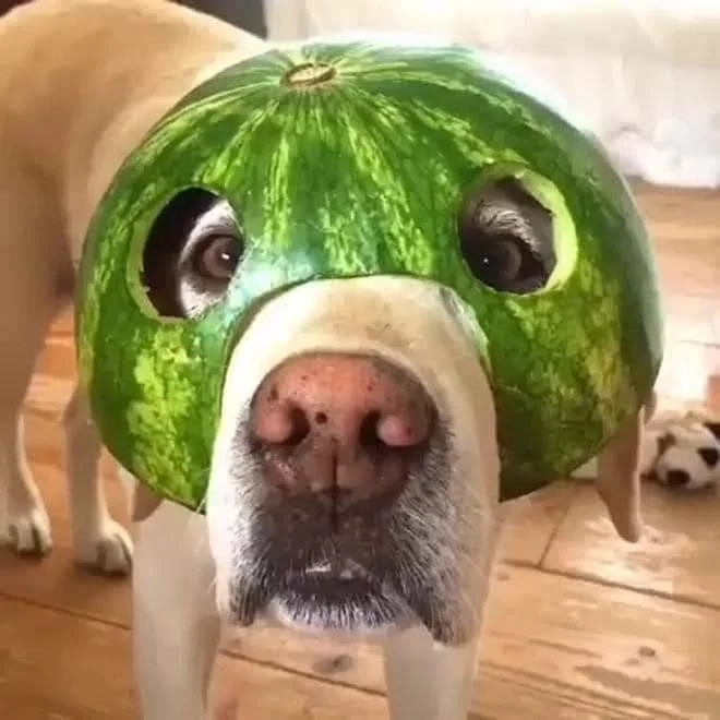 Archived ABI Resources Facebook image associated with Just to make you smile ð