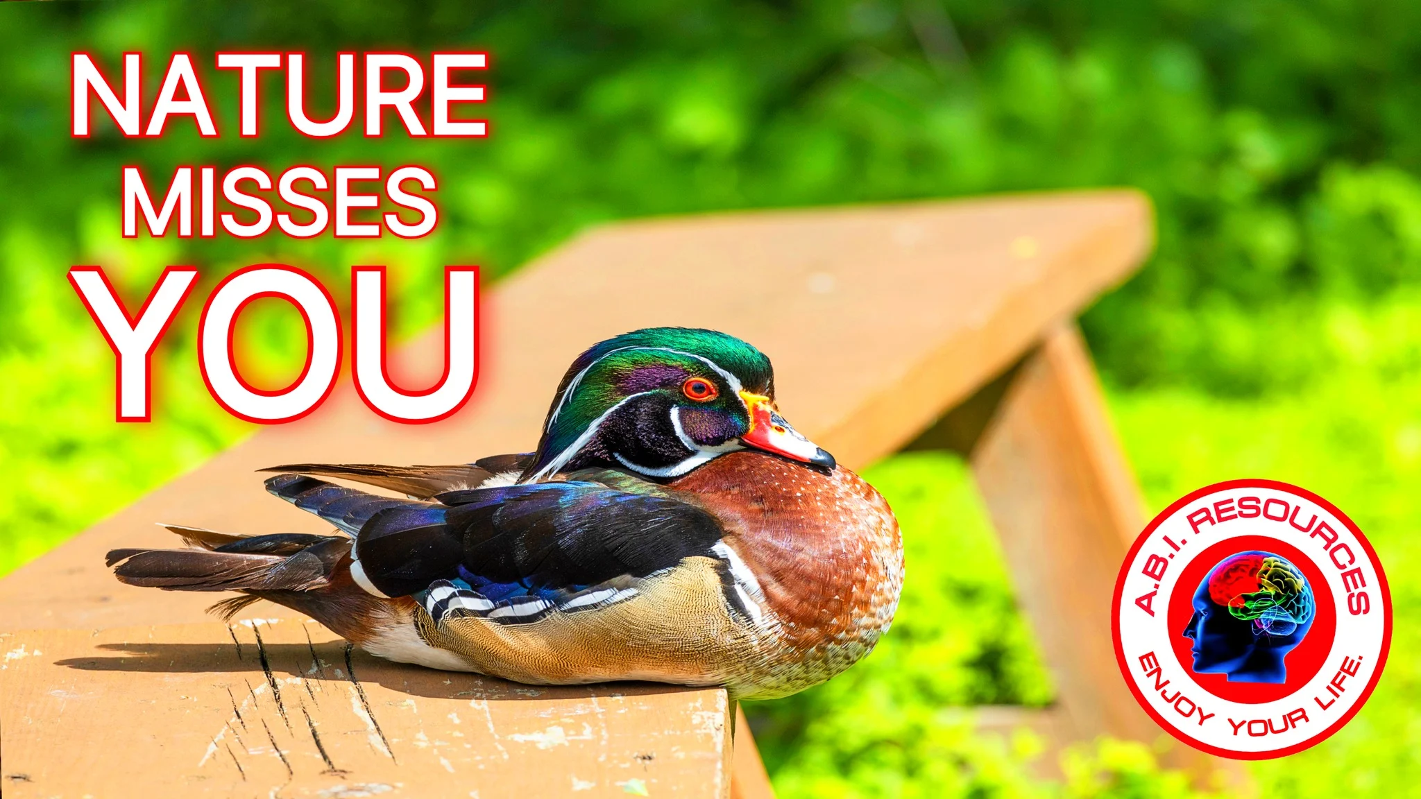 Archived ABI Resources Facebook image associated with What are you waiting for? Lace up your hiking boots, grab your shades, and embark on an outdoor journey. The beauty o… — 2023-10-18 e67a68d4