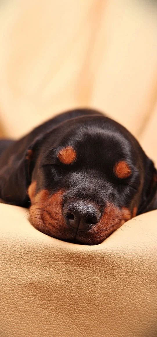 Archived ABI Resources Facebook image associated with Goodnight â¤ #Connecticut #sleep #healthiswealth