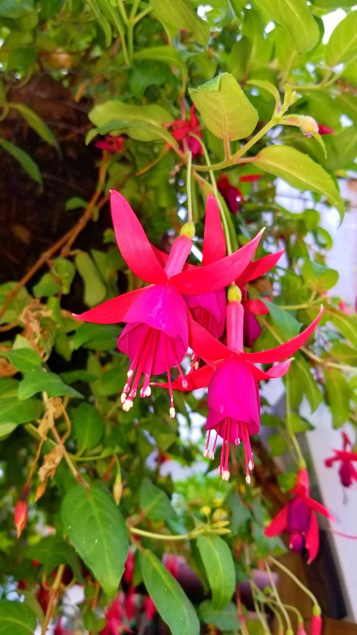 Archived ABI Resources Facebook image associated with Mobile uploads — 2019-10-06 5e1d0d0b