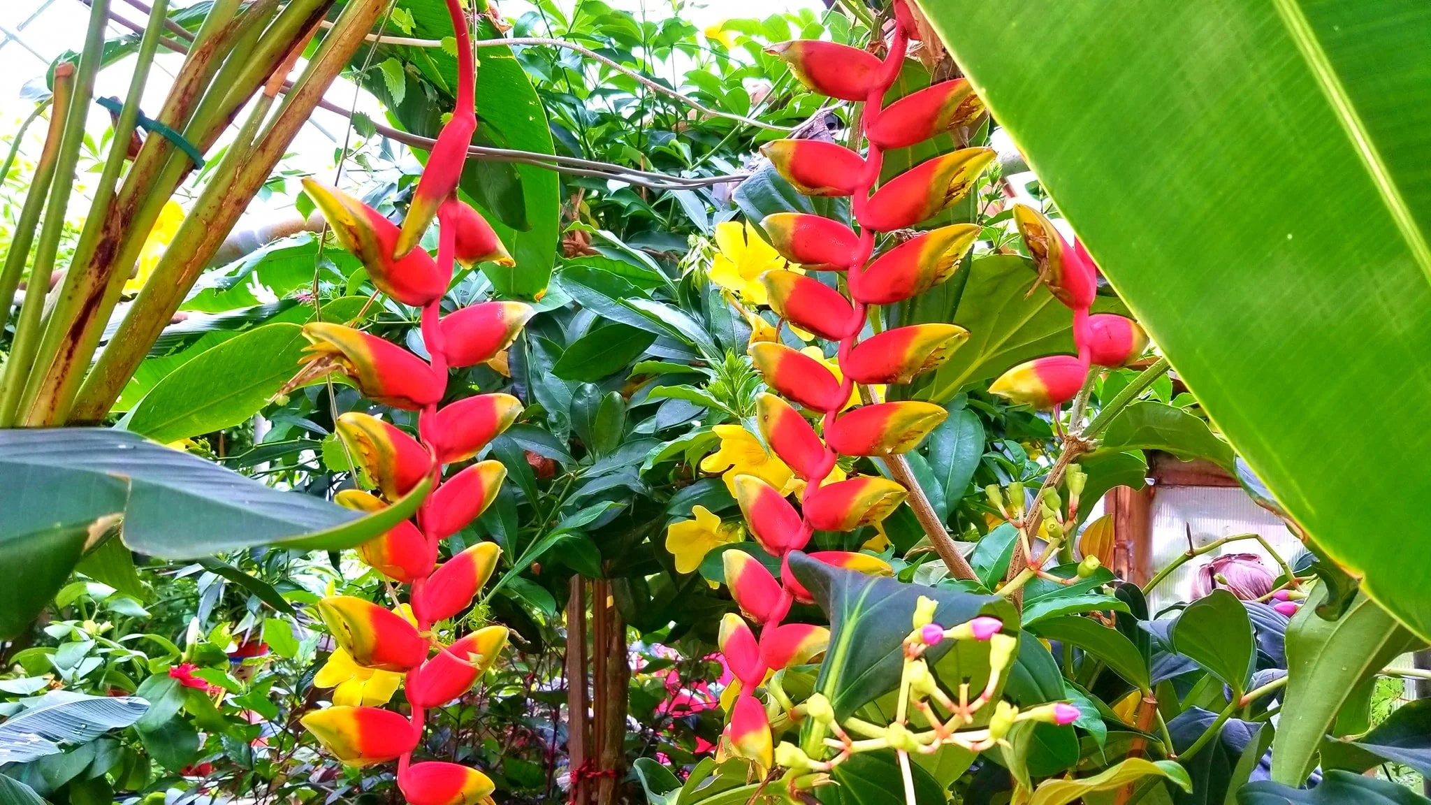 Archived ABI Resources Facebook image associated with Mobile uploads — 2019-10-06 000199b5