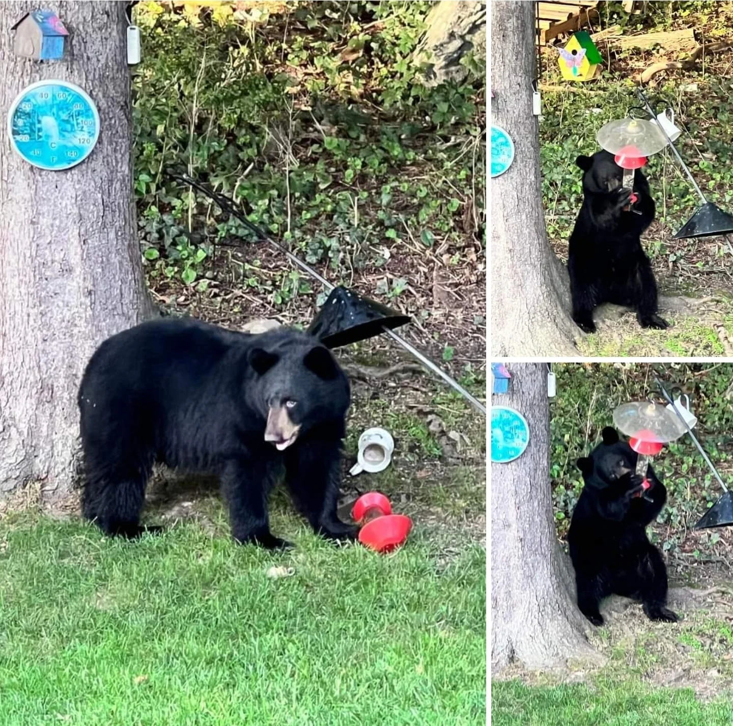 Archived ABI Resources Facebook image associated with ð» Waterbury CT! ð» ð³