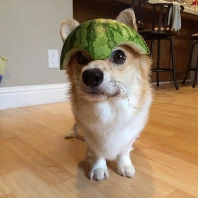 Archived ABI Resources Facebook image associated with Just to make you smile ð