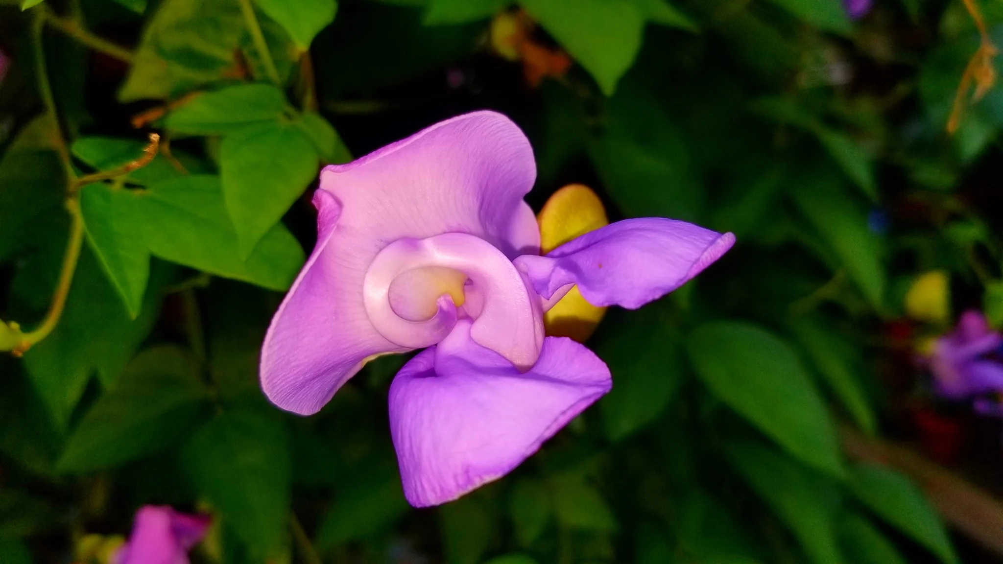 Archived ABI Resources Facebook image associated with Mobile uploads — 2019-10-06 932b4c34