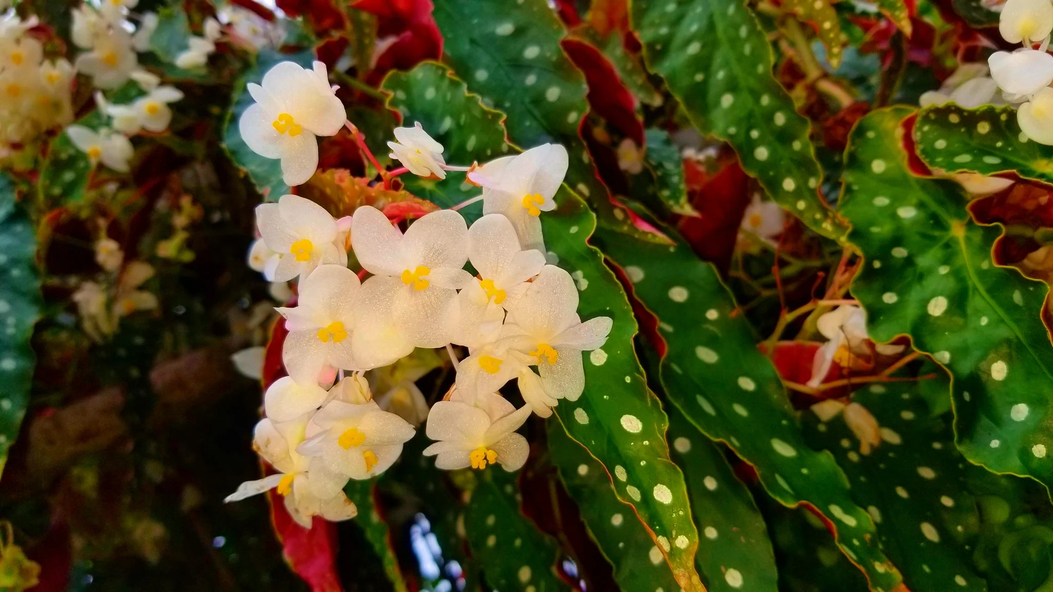 Archived ABI Resources Facebook image associated with Mobile uploads — 2019-10-06 a1e330fb