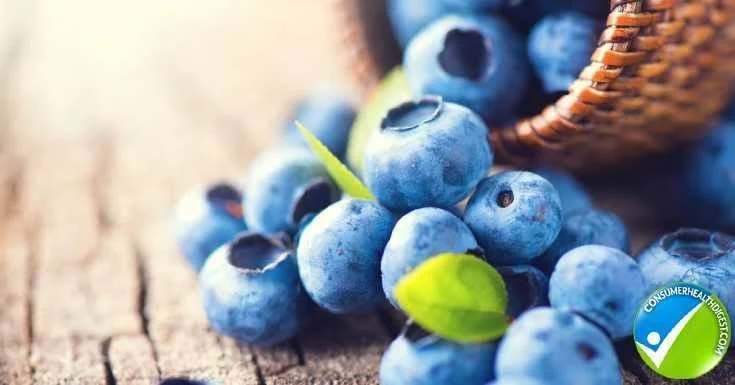 Archived ABI Resources Facebook image associated with Choose A Brain-Healthy Diet By Robert G. Silverman, MS, CCN, CNS, CSCS Blueberries Protecting your brain from the dam…
