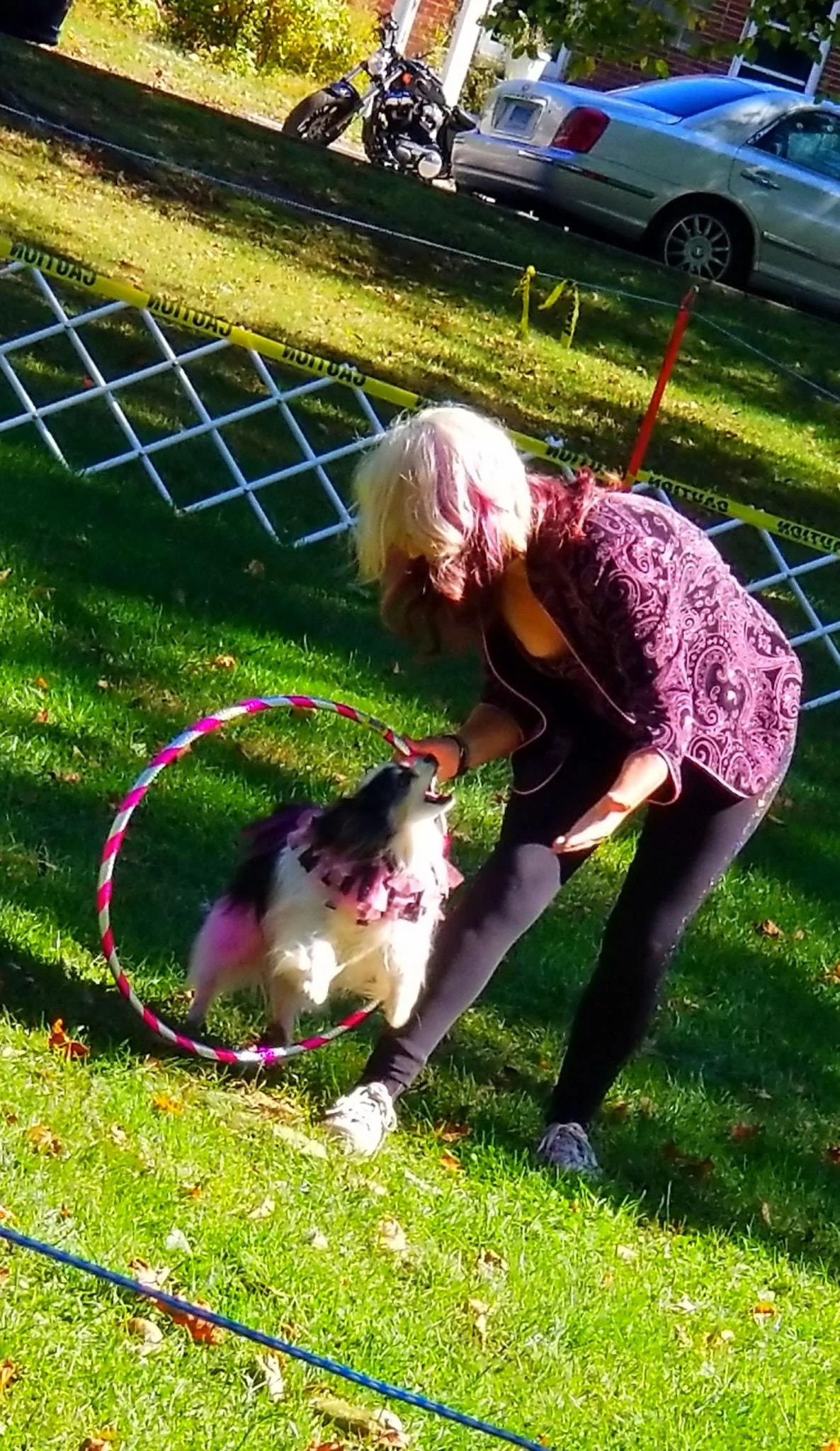 Archived ABI Resources Facebook image associated with Great Team outing today! Colchester Pumpkins and Pooches!ðð©ðð¶ð