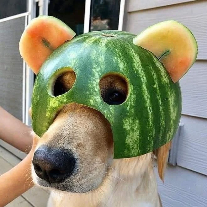 Archived ABI Resources Facebook image associated with Just to make you smile ð