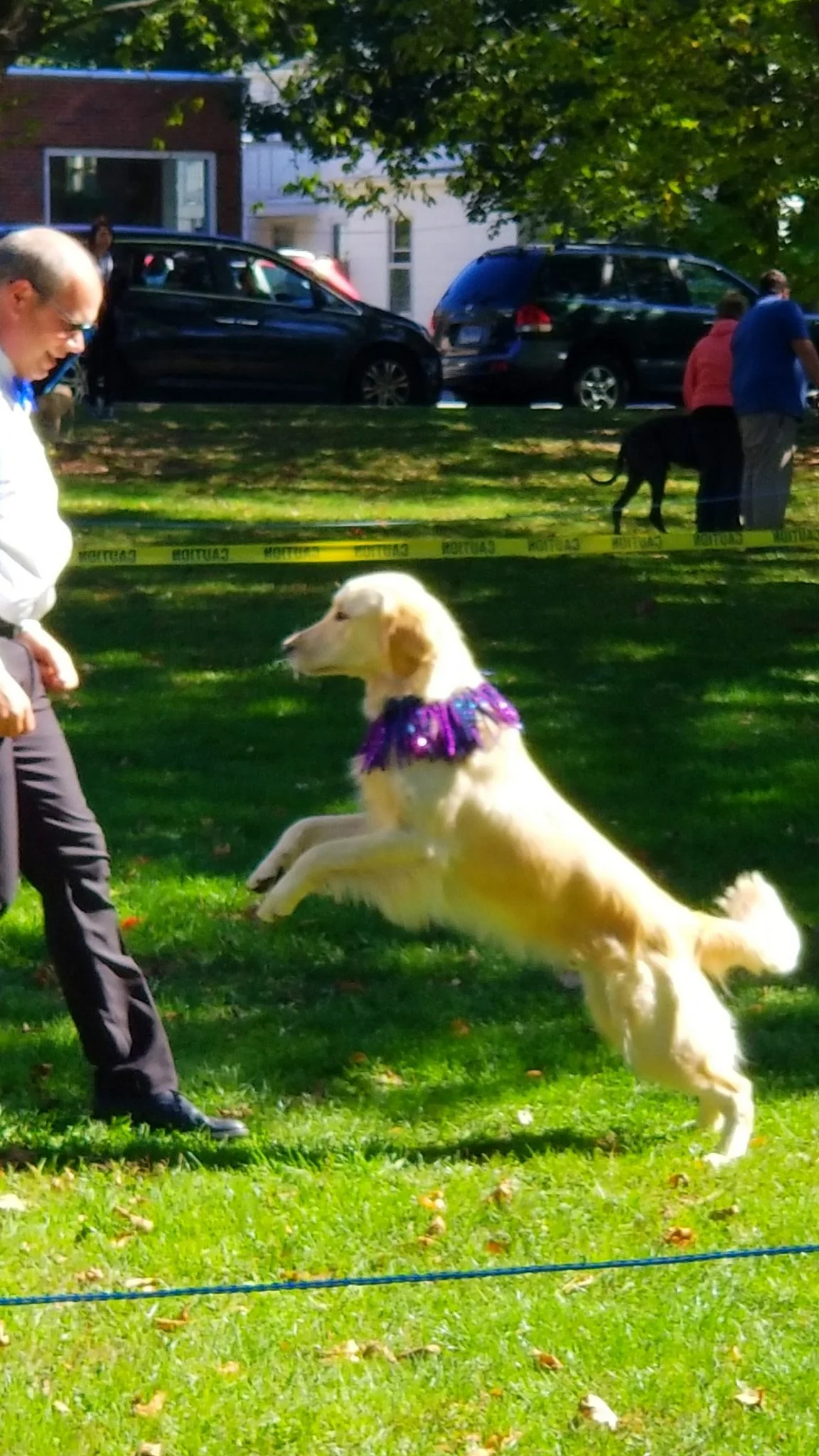 Archived ABI Resources Facebook image associated with Great Team outing today! Colchester Pumpkins and Pooches!ðð©ðð¶ð