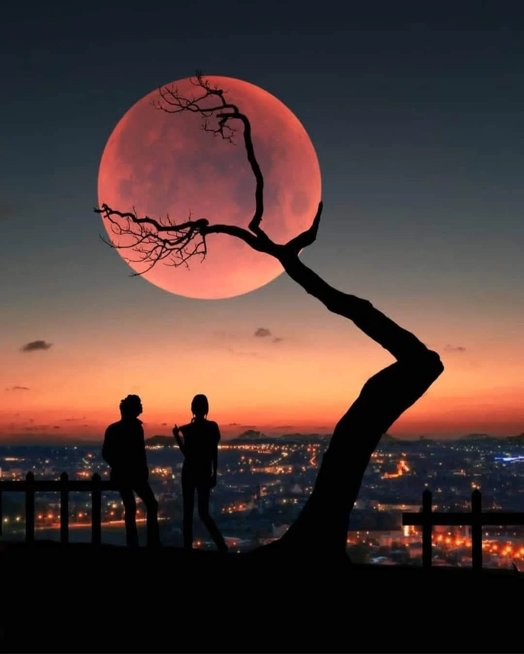 Archived ABI Resources Facebook image associated with âSleep is the best meditation.â Dalai Lama