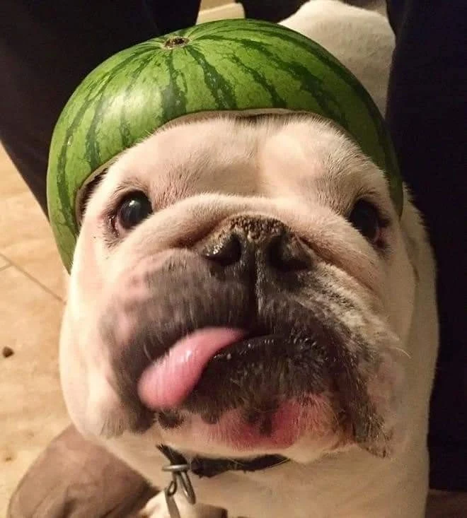 Archived ABI Resources Facebook image associated with Just to make you smile ð