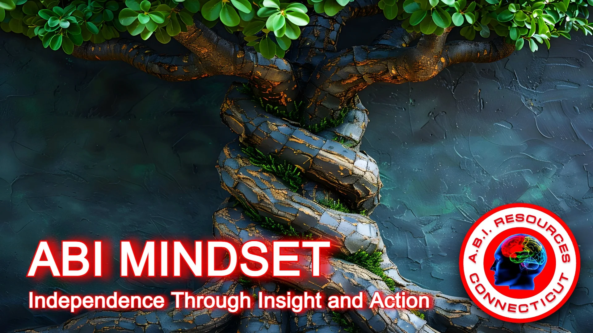 Archived ABI Resources Facebook image associated with Photos — 2024-06-10 7fb1764b
