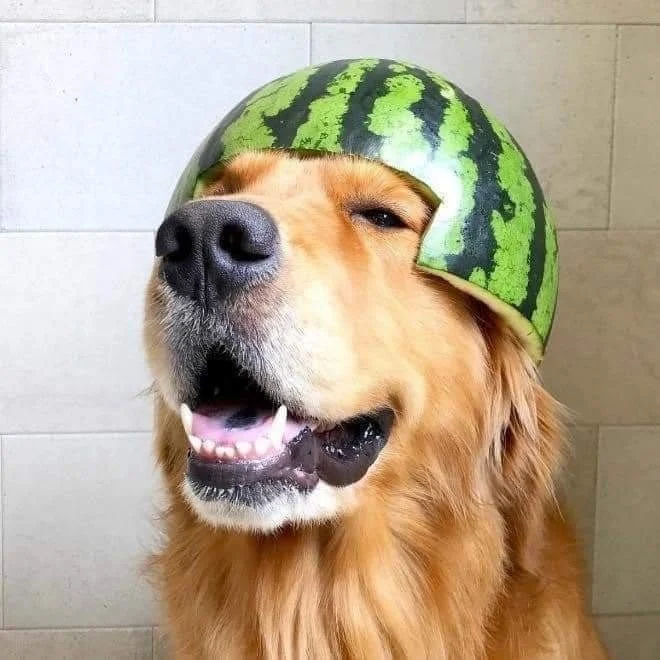Archived ABI Resources Facebook image associated with Just to make you smile ð