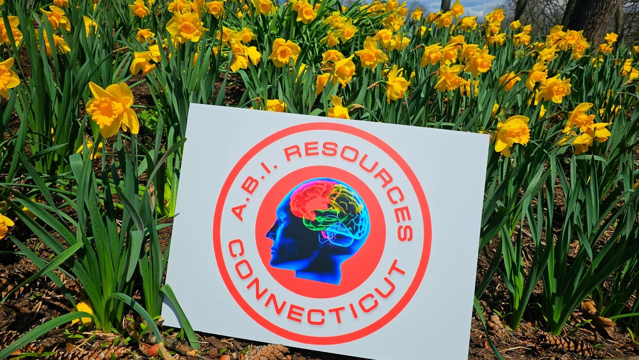 Archived ABI Resources Facebook image associated with 'Where in Connecticut is ABI?' challenge. Think youâve got what it takes? Share your guesses in the comments! ðð¯